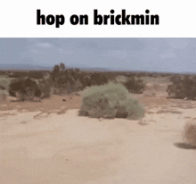 Brickmin Roblox Pikmin GIF - Brickmin Roblox Pikmin GIFs