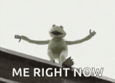 kermit the frog is sitting on the edge of a building .