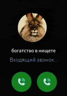 a phone screen with a picture of a lion and the words bogatstvo in nichete