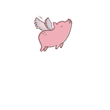 pigs fly flying pig when pigs fly pecana pecanachancho