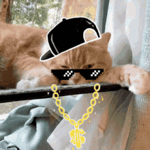 Thug Beanbeanji GIF - Thug Beanbeanji Cat GIFs