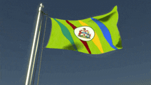 a green and blue flag with a coat of arms on it