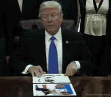 Bunny Trump GIF - Bunny Trump Announcement GIFs