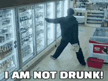 I Am Not Drunk GIF - I Am Not Drunk GIFs