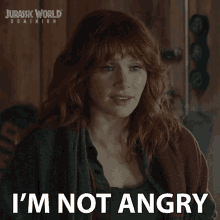 Im Not Angry Claire Dearing GIF - Im Not Angry Claire Dearing Bryce Dallas Howard GIFs