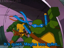 tmnt leo 2003 mikey ninja turtles
