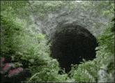 Cave Dive Panucci GIF - Cave Dive Panucci GIFs
