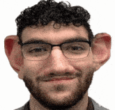 a man with curly hair and glasses has a fake ear