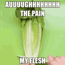 romaine lettuce no salad pain sertghoom