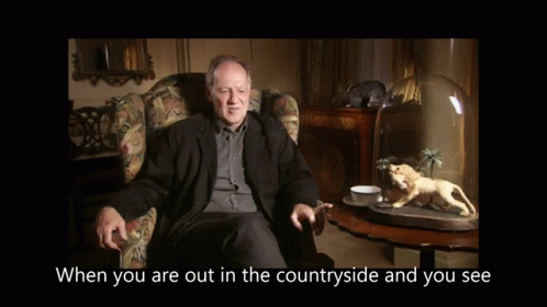 werner-herzog-chickens.gif