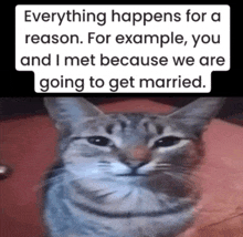 a picture of a cat with a caption that says " everything happens for a reason "