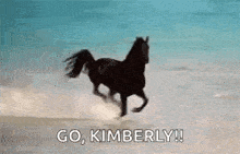 a black horse is running in the desert with the words `` go , kimberly '' .