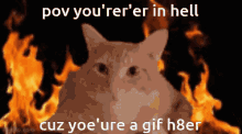 hell cat mothership fire meme