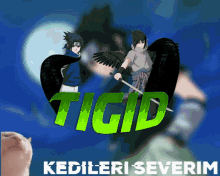 Tigid Tigid Cat GIF - Tigid Tigid Cat Cat Tigid GIFs