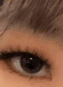 Eye Blinking GIF - Eye Blinking Beautiful Eye GIFs