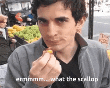 tally hall joe hawley erm what the scallop what the flip