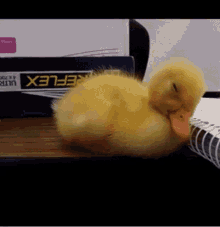 Sleepy Duck GIF - Sleepy Duck Tired GIFs