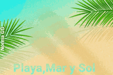 Playa Mar GIF - Playa Mar Sol GIFs