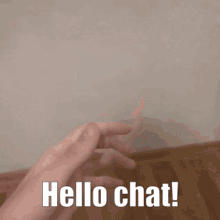 Hello Hello Chat GIF - Hello Hello Chat Monika GIFs