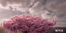 Tree Blossoms GIF - Tree Blossoms Pretty GIFs