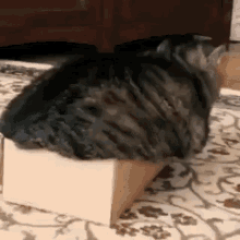 GIF