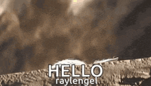 a feather is laying on a rock with the words hello raylengel written on it