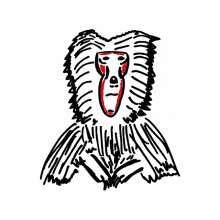 baboon exaggerated