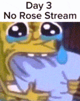 Roseruland No Stream GIF
