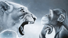 a lion and a chimpanzee are looking at each other and the lion has its mouth wide open