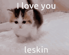Leskin GIF - Leskin GIFs
