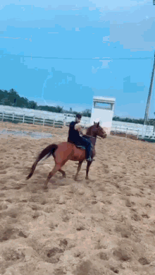 Cavalo Vaqueiro GIF - Cavalo Vaqueiro GIFs