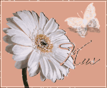 Kus Flower GIF - Kus Flower Sparkle GIFs