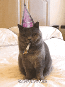 Birthday Happybirthday GIF - Birthday Happybirthday Cat GIFs