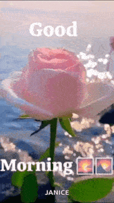 Happiness Peace GIF - Happiness Peace Good Night Images GIFs