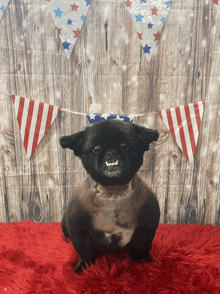 Happy 4th Of July GIF