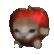 apple-cat.gif