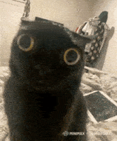 a black cat is sitting on a bed with a tablet in the background
