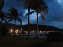 Martinique GIF - Beach GIFs