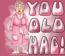 a cartoon of a woman in a pink robe with the words you old hag