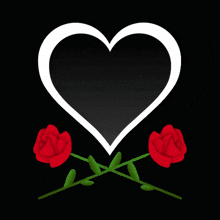 two red roses are crossed in front of a heart on a black background