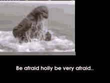 a picture of a seal in the water with the words be afraid holly be very afraid below it