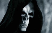 Pratchett Death GIF - Pratchett Death Skull GIFs