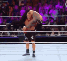 Brock Lesnar Roman Reigns GIF - Brock Lesnar Roman Reigns F5 GIFs