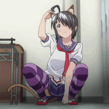 Anime Meow GIF