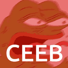 Ceeb Ceebing GIF - Ceeb Ceebing Big Ceeb GIFs