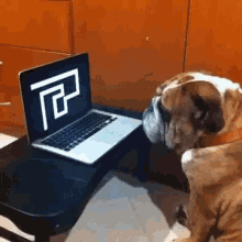 Bulldog Scared GIF - Bulldog Scared Maze GIFs
