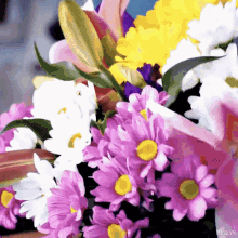 Ozan Korfali GIF - Ozan Korfali Flowers GIFs
