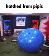 a blue balloon in a room with the words hatched from pipis on the top
