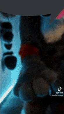 a blurred image of a person 's face with the hashtag tiktok at the bottom