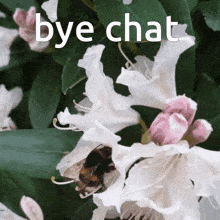 Bye Bee GIF - Bye Bee Byebye GIFs